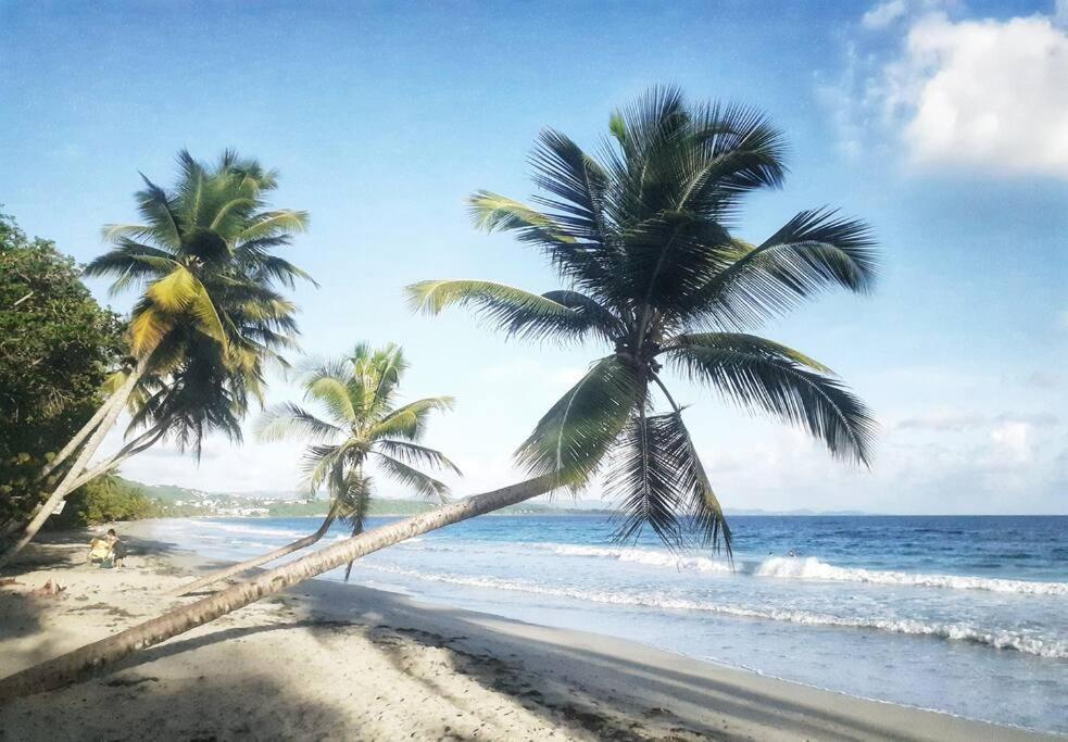 Superbe studio, à 20 mètres de la plage, accès direct Grande Plage Diamant Le Diamant Exterior foto