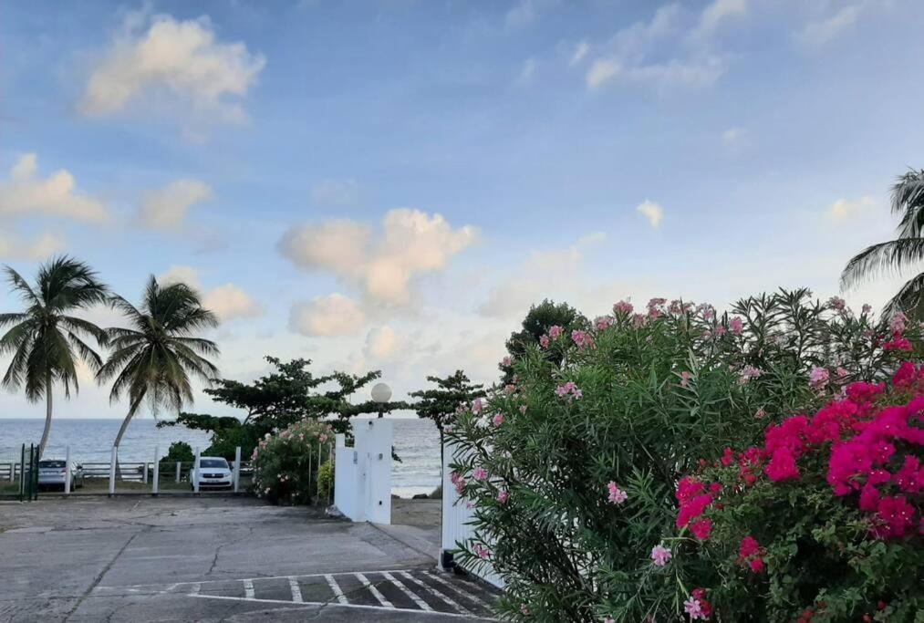Superbe studio, à 20 mètres de la plage, accès direct Grande Plage Diamant Le Diamant Exterior foto